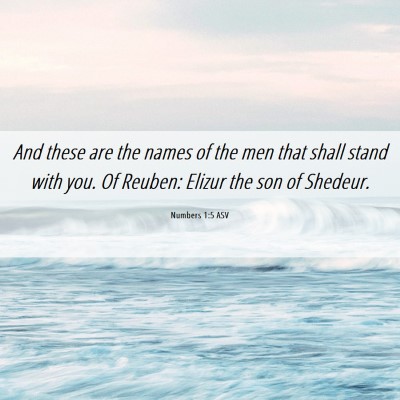 Picture 06 - Numbers 1:5 ASV - And these are the names of the men that shall - Bible Verse Picture