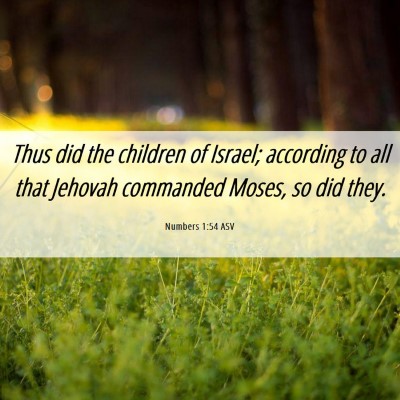 Picture 06 - Numbers 1:54 ASV - Thus did the children of Israel; according to all - Bible Verse Picture