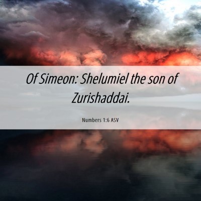 Picture 06 - Numbers 1:6 ASV - Of Simeon: Shelumiel the son of - Bible Verse Picture