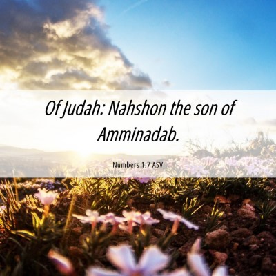 Picture 06 - Numbers 1:7 ASV - Of Judah: Nahshon the son of - Bible Verse Picture