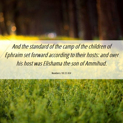 Picture 06 - Numbers 10:22 ASV - And the standard of the camp of the children of - Bible Verse Picture