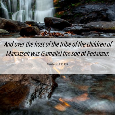 Picture 06 - Numbers 10:23 ASV - And over the host of the tribe of the children of - Bible Verse Picture