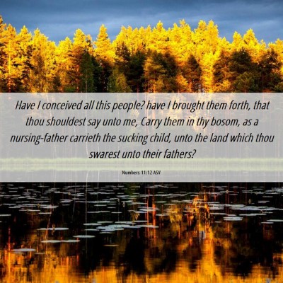 Picture 06 - Numbers 11:12 ASV - Have I conceived all this people? have I brought - Bible Verse Picture