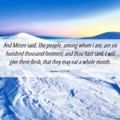 Picture 06 - Numbers 11:21 ASV - And Moses said, The people, among whom I am, are - Bible Verse Picture