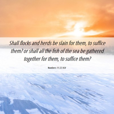Picture 06 - Numbers 11:22 ASV - Shall flocks and herds be slain for them, to - Bible Verse Picture