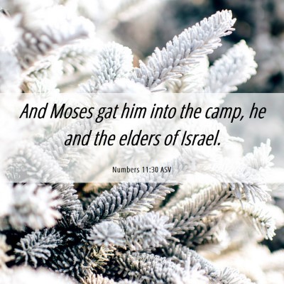 Picture 06 - Numbers 11:30 ASV - And Moses gat him into the camp, he and the - Bible Verse Picture