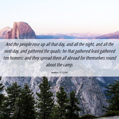 Picture 06 - Numbers 11:32 ASV - And the people rose up all that day, and all the - Bible Verse Picture