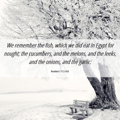 Picture 06 - Numbers 11:5 ASV - We remember the fish, which we did eat in Egypt - Bible Verse Picture