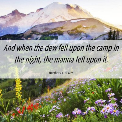 Picture 06 - Numbers 11:9 ASV - And when the dew fell upon the camp in the night, - Bible Verse Picture