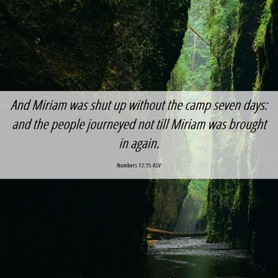 Picture 06 - Numbers 12:15 ASV - And Miriam was shut up without the camp seven - Bible Verse Picture