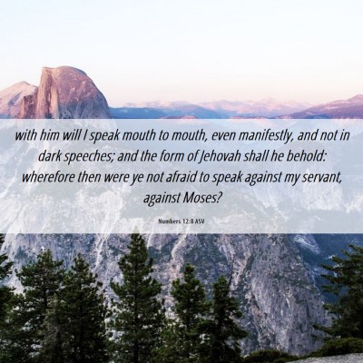 Picture 06 - Numbers 12:8 ASV - with him will I speak mouth to mouth, even - Bible Verse Picture