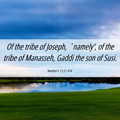 Picture 06 - Numbers 13:11 ASV - Of the tribe of Joseph, `namely', of the tribe of - Bible Verse Picture