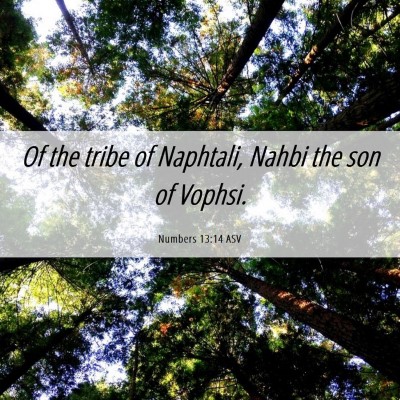 Picture 06 - Numbers 13:14 ASV - Of the tribe of Naphtali, Nahbi the son of - Bible Verse Picture