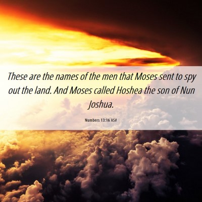 Picture 06 - Numbers 13:16 ASV - These are the names of the men that Moses sent to - Bible Verse Picture