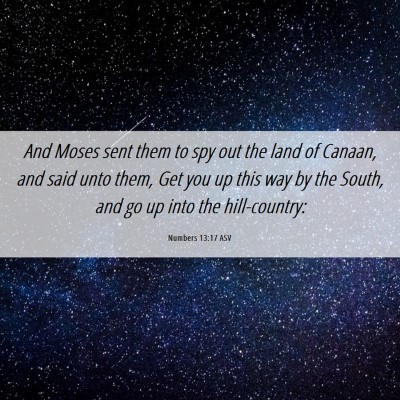 Picture 06 - Numbers 13:17 ASV - And Moses sent them to spy out the land of - Bible Verse Picture