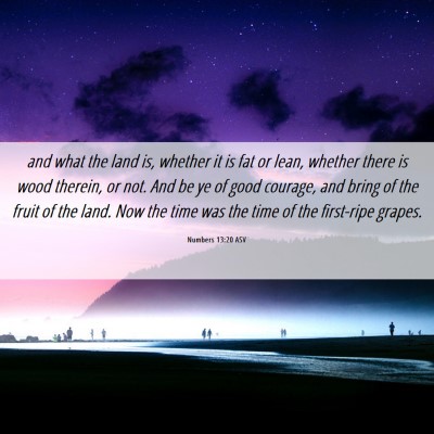Picture 06 - Numbers 13:20 ASV - and what the land is, whether it is fat or lean, - Bible Verse Picture