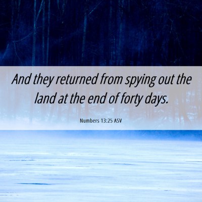 Picture 06 - Numbers 13:25 ASV - And they returned from spying out the land at the - Bible Verse Picture