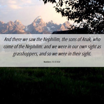 Picture 06 - Numbers 13:33 ASV - And there we saw the Nephilim, the sons of Anak, - Bible Verse Picture