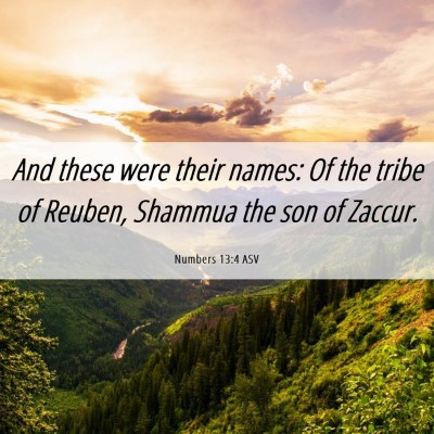 Picture 06 - Numbers 13:4 ASV - And these were their names: Of the tribe of - Bible Verse Picture