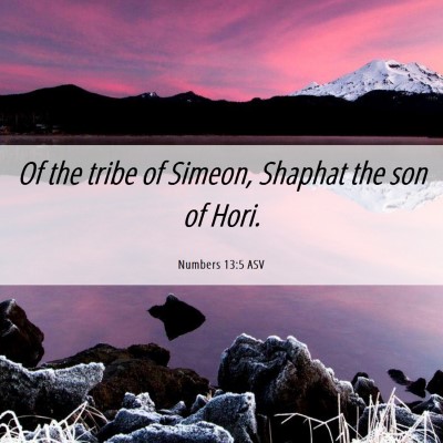 Picture 06 - Numbers 13:5 ASV - Of the tribe of Simeon, Shaphat the son of - Bible Verse Picture