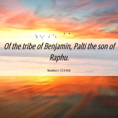 Picture 06 - Numbers 13:9 ASV - Of the tribe of Benjamin, Palti the son of - Bible Verse Picture