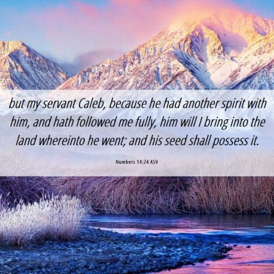 Picture 06 - Numbers 14:24 ASV - but my servant Caleb, because he had another - Bible Verse Picture