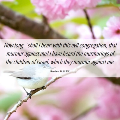 Picture 06 - Numbers 14:27 ASV - How long `shall I bear' with this evil - Bible Verse Picture