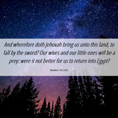 Picture 06 - Numbers 14:3 ASV - And wherefore doth Jehovah bring us unto this - Bible Verse Picture