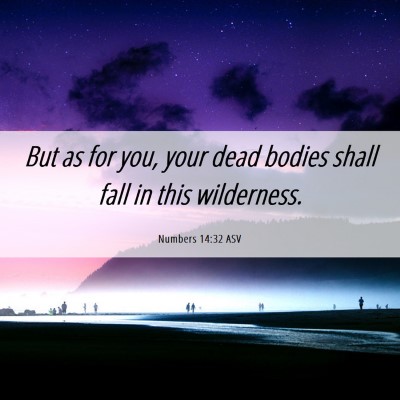 Picture 06 - Numbers 14:32 ASV - But as for you, your dead bodies shall fall in - Bible Verse Picture