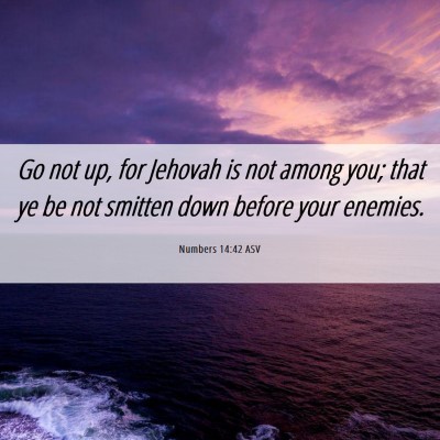 Picture 06 - Numbers 14:42 ASV - Go not up, for Jehovah is not among you; that ye - Bible Verse Picture