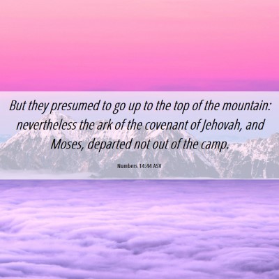 Picture 06 - Numbers 14:44 ASV - But they presumed to go up to the top of the - Bible Verse Picture