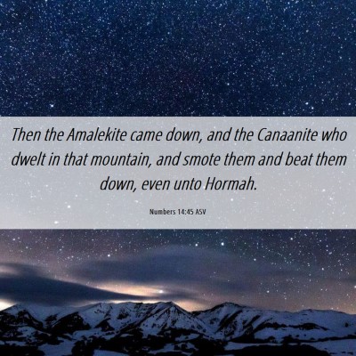 Picture 06 - Numbers 14:45 ASV - Then the Amalekite came down, and the Canaanite - Bible Verse Picture
