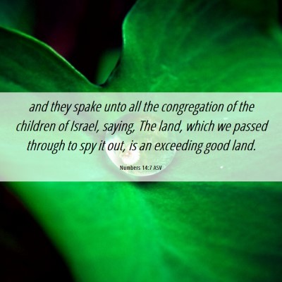 Picture 06 - Numbers 14:7 ASV - and they spake unto all the congregation of the - Bible Verse Picture