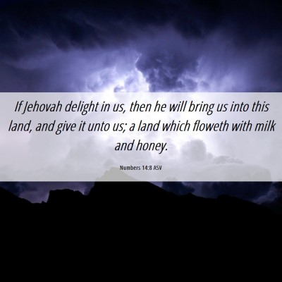 Picture 06 - Numbers 14:8 ASV - If Jehovah delight in us, then he will bring us - Bible Verse Picture