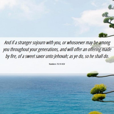 Picture 06 - Numbers 15:14 ASV - And if a stranger sojourn with you, or whosoever - Bible Verse Picture