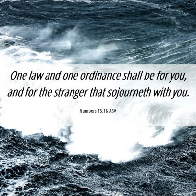 Picture 06 - Numbers 15:16 ASV - One law and one ordinance shall be for you, and - Bible Verse Picture
