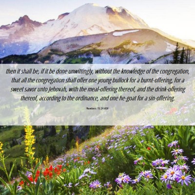 Picture 06 - Numbers 15:24 ASV - then it shall be, if it be done unwittingly, - Bible Verse Picture