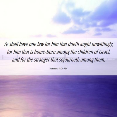 Picture 06 - Numbers 15:29 ASV - Ye shall have one law for him that doeth aught - Bible Verse Picture