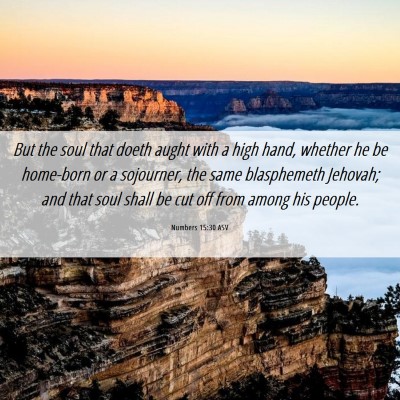 Picture 06 - Numbers 15:30 ASV - But the soul that doeth aught with a high hand, - Bible Verse Picture