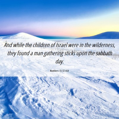Picture 06 - Numbers 15:32 ASV - And while the children of Israel were in the - Bible Verse Picture