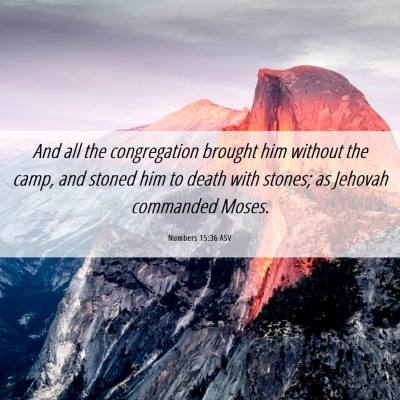 Picture 06 - Numbers 15:36 ASV - And all the congregation brought him without the - Bible Verse Picture