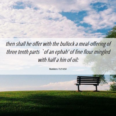 Picture 06 - Numbers 15:9 ASV - then shall he offer with the bullock a - Bible Verse Picture