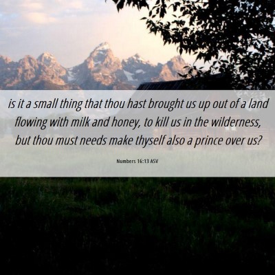 Picture 06 - Numbers 16:13 ASV - is it a small thing that thou hast brought us up - Bible Verse Picture