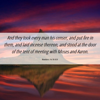 Picture 06 - Numbers 16:18 ASV - And they took every man his censer, and put fire - Bible Verse Picture