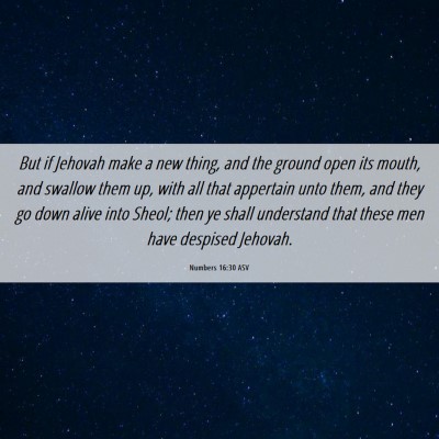 Picture 06 - Numbers 16:30 ASV - But if Jehovah make a new thing, and the ground - Bible Verse Picture