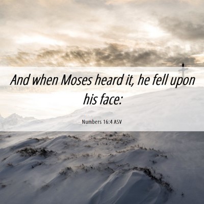 Picture 06 - Numbers 16:4 ASV - And when Moses heard it, he fell upon his - Bible Verse Picture