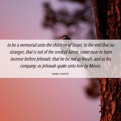 Picture 06 - Numbers 16:40 ASV - to be a memorial unto the children of Israel, to - Bible Verse Picture