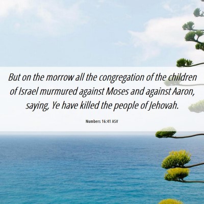 Picture 06 - Numbers 16:41 ASV - But on the morrow all the congregation of the - Bible Verse Picture