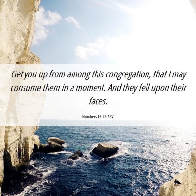 Picture 06 - Numbers 16:45 ASV - Get you up from among this congregation, that I - Bible Verse Picture