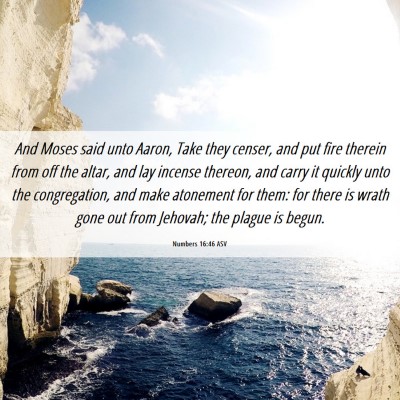Picture 06 - Numbers 16:46 ASV - And Moses said unto Aaron, Take they censer, and - Bible Verse Picture